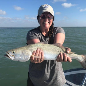 Meet your Posher, Devon